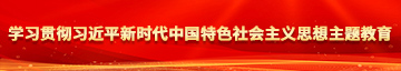 班花被我用基霸捅学习贯彻习近平新时代中国特色社会主义思想主题教育